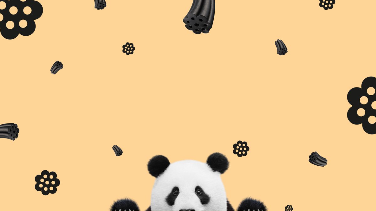 Panda tekee hyvää lisäpaketit