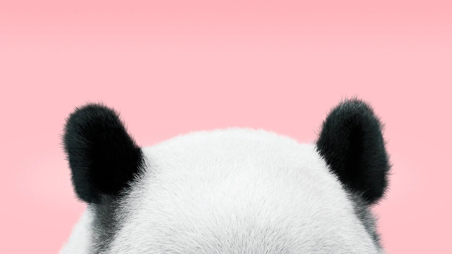 Panda makeiset