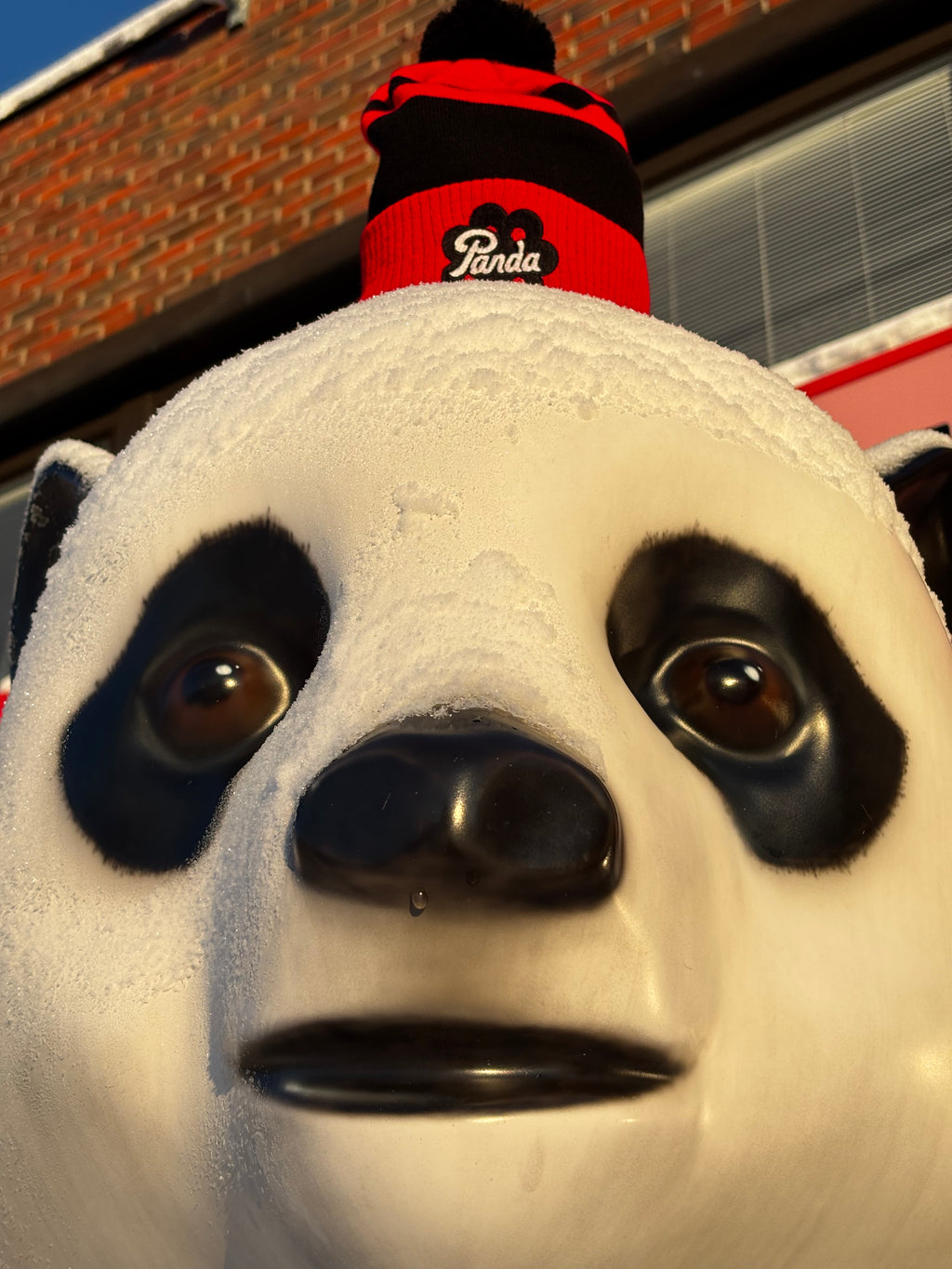 Panda Lakukka -pipo