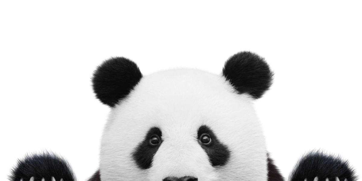 Panda lakritsi taustalla